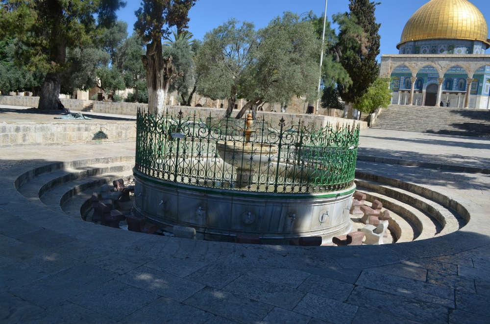A Dream Come True: My Journey to Al-Aqsa - Muslim Ink